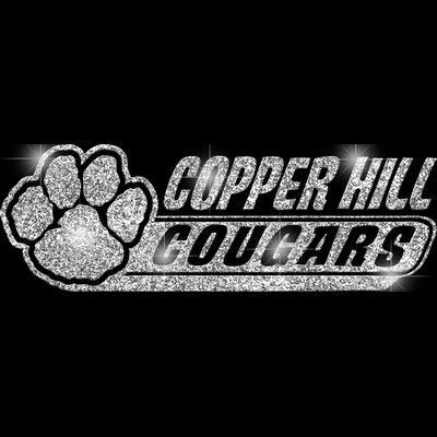 GLT102 SILVER GLITTER Thumbnail