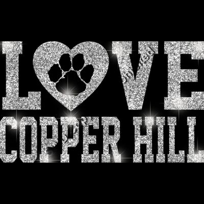 GLT51 SILVER GLITTER Thumbnail